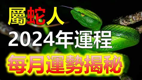 屬蛇適合的水晶|屬蛇人2024年最佳開運水晶揭秘